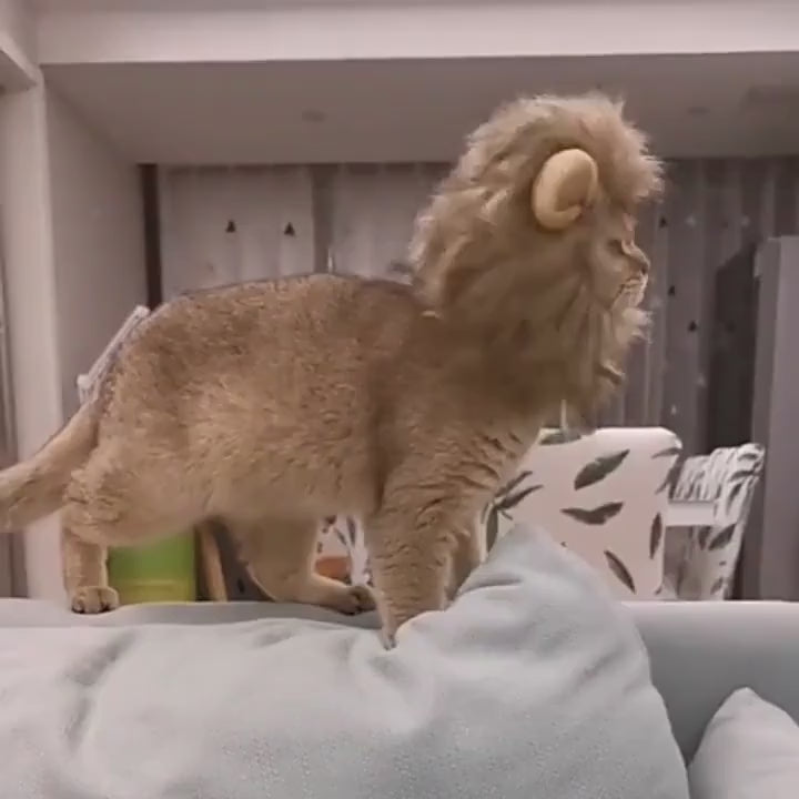 Hilarious 1pc Lion Cat Hat Perfect Pet Cosplay