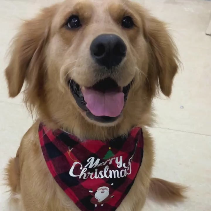 Festive Santa Claus Dog Bandanas  Perfect Christmas Party Decor for All Dogs