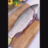 Load and play video in Gallery viewer, 1 Effortless Fish Scale Scraper Easycleaning Kitchen Essential