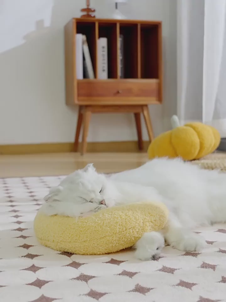 Ultra Soft Calming Toy Perfect Pillow for Cats